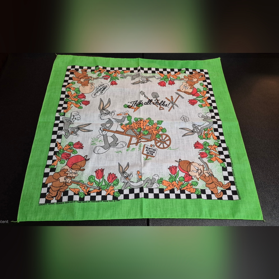 Vintage 1996 Looney Tunes Gr